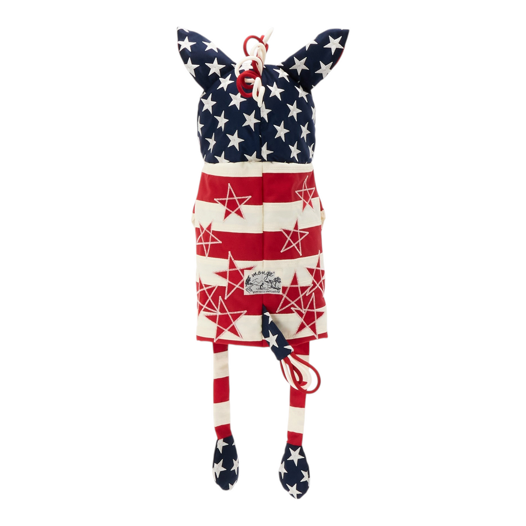 USA　