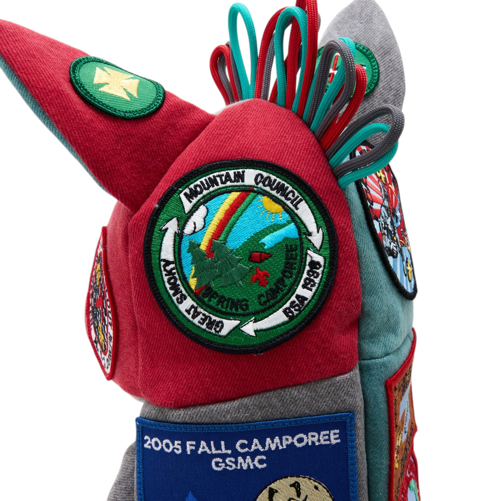 Boy Scouts