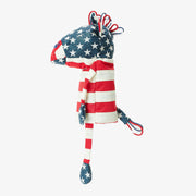 TEAM USA　