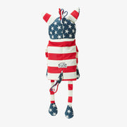 TEAM USA　