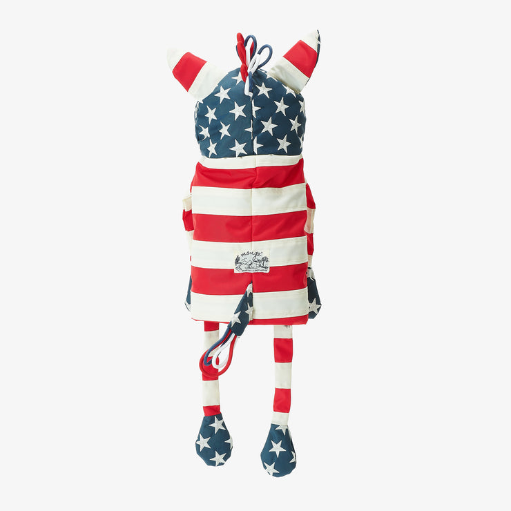 TEAM USA　