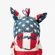 TEAM USA　