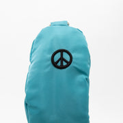 TEAL FW Cover