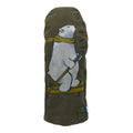 OLIVE BEAR