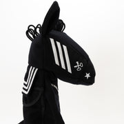 Sailor Boy