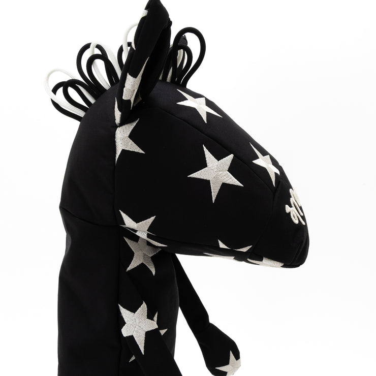 Black Stardust Voyager