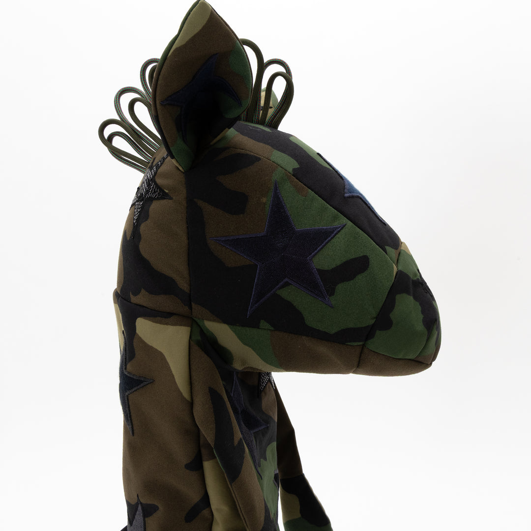 Stardust feild – monzee