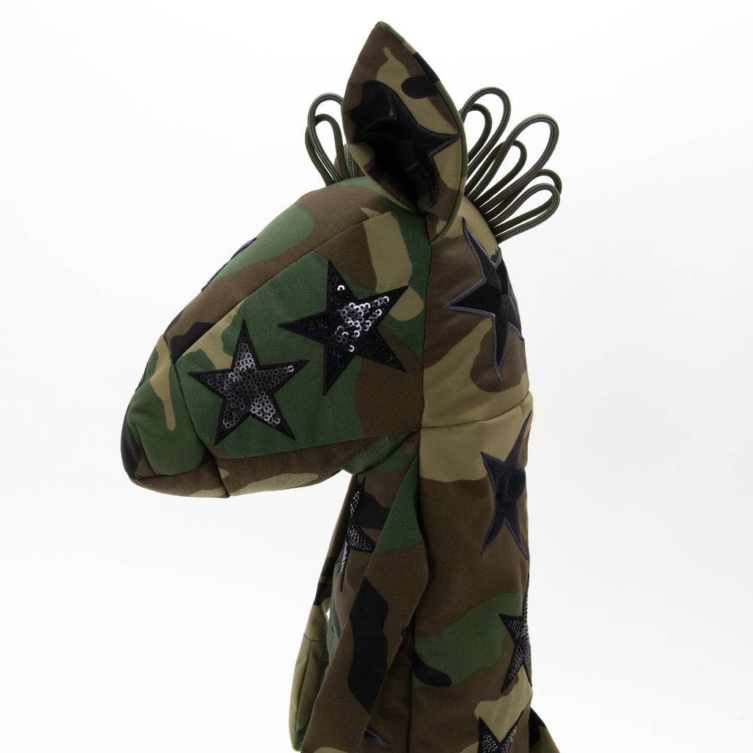 Stardust feild – monzee