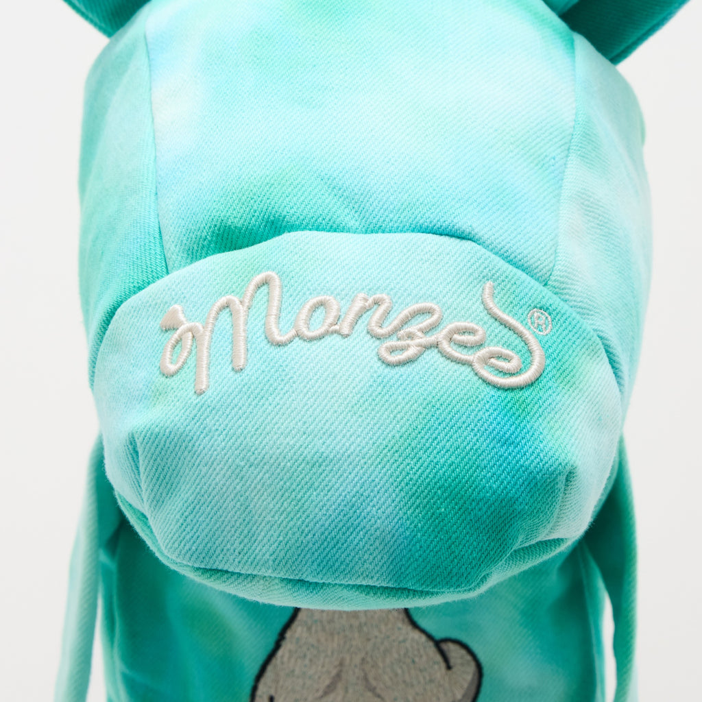 MR261318-R6998