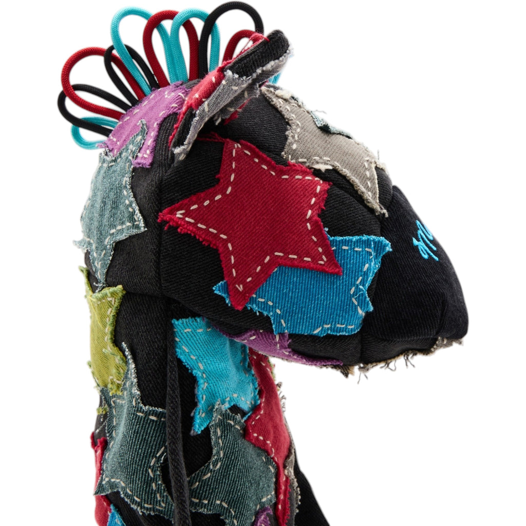 HOSHI SASHIKO