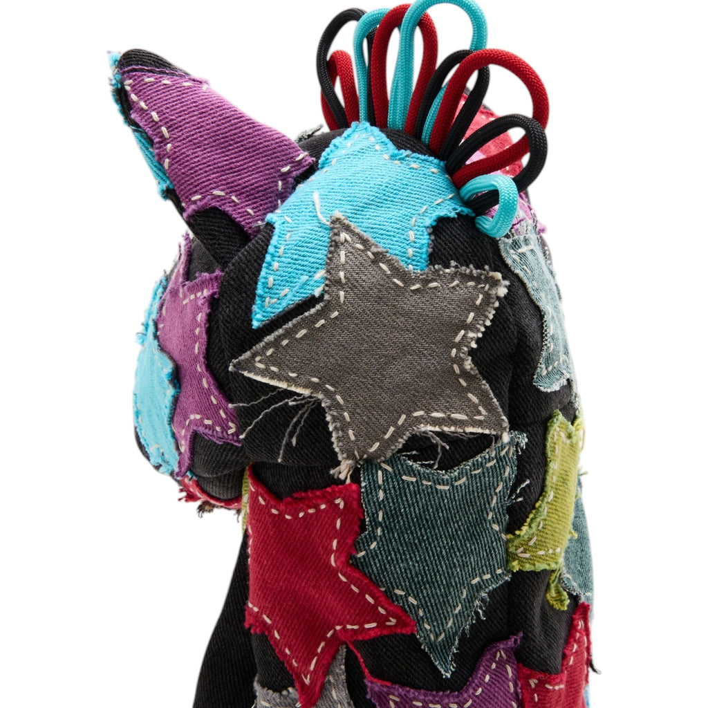 HOSHI SASHIKO