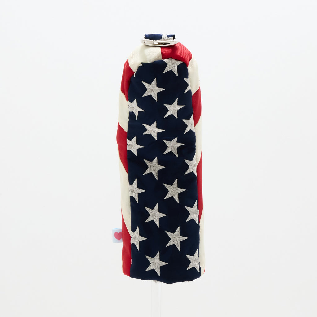 USA　
