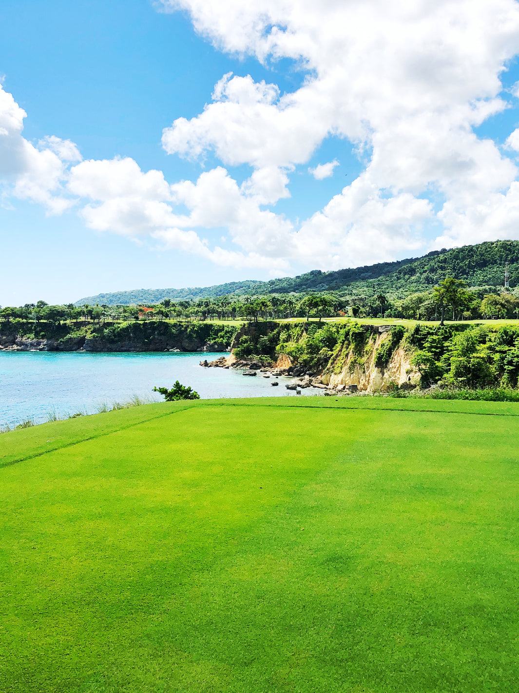 monzee GOLF