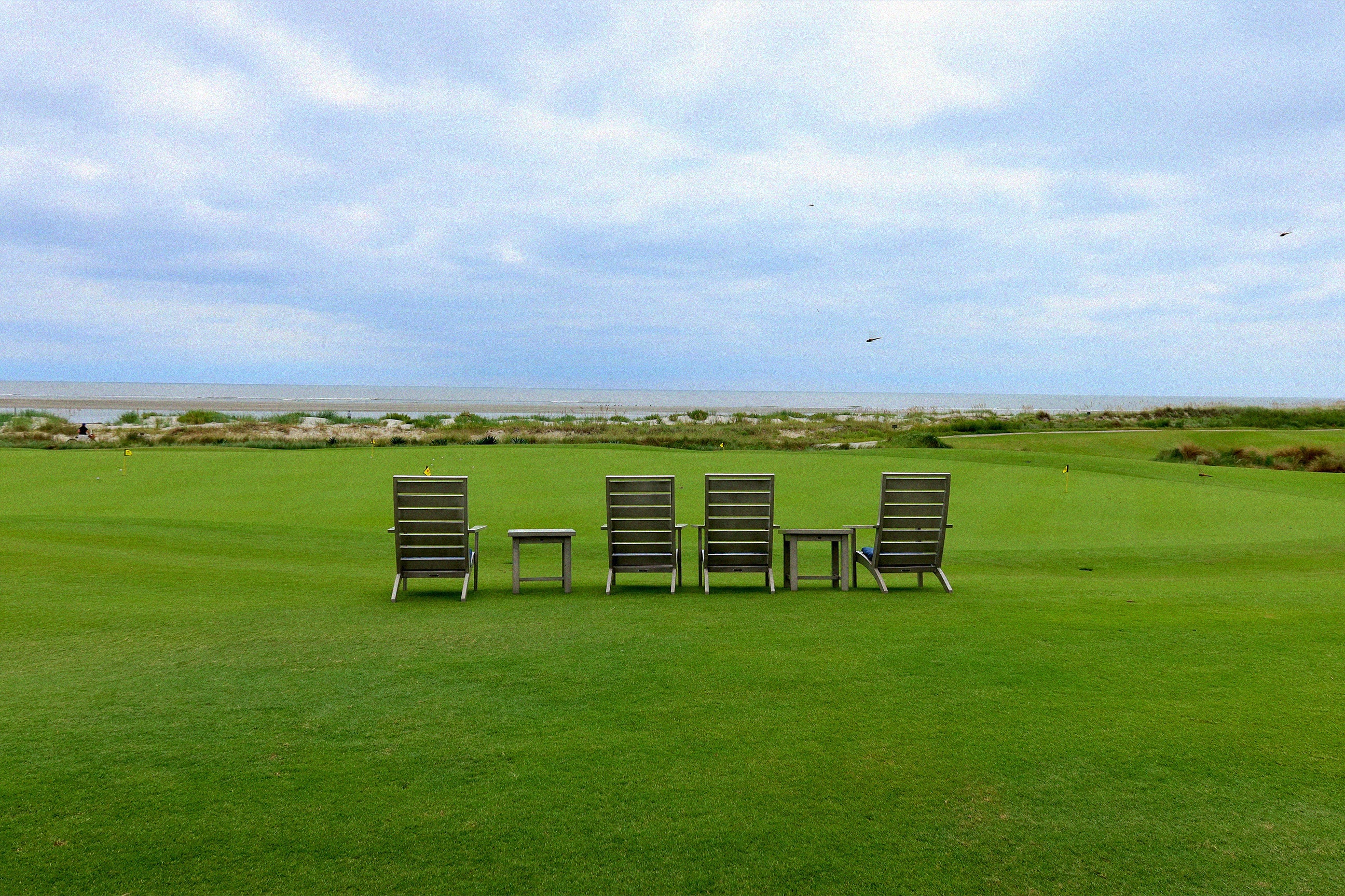 monzee GOLF